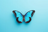 Colorful Wings of Delicate Grace: Isolated Butterfly on Bright Blue Background