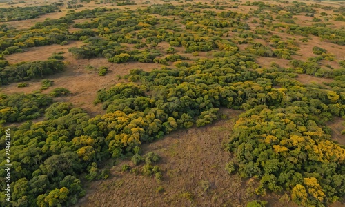 Africa's Eden: Unveiling the Beauty of the Savannah Wilderness