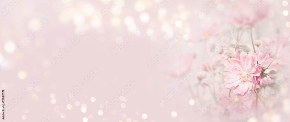 Pink flower on beautiful bokeh light background - Bouquet of summer flowers for mothers day, wedding, birthday and valentine Pink flower on beautiful bokeh light background - Bouquet of summer flowers for mothers day, wedding, birthday and valentine