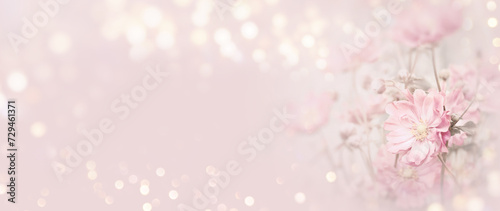 Pink flower on beautiful bokeh light background - Bouquet of summer flowers for mothers day, wedding, birthday and valentine