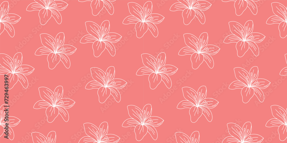 Seamless pattern of lilies. Beautiful delicate lily. Vector illustration on pink background.