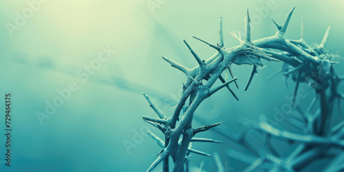 Crown of Thorns with copy space, banner template. Artistic close-up of a Crown of Thorns, evoking spiritual reflection. photo