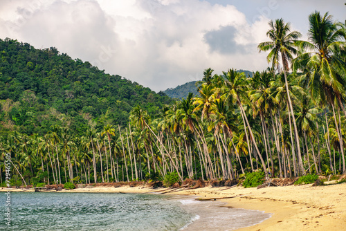 beach with palm trees