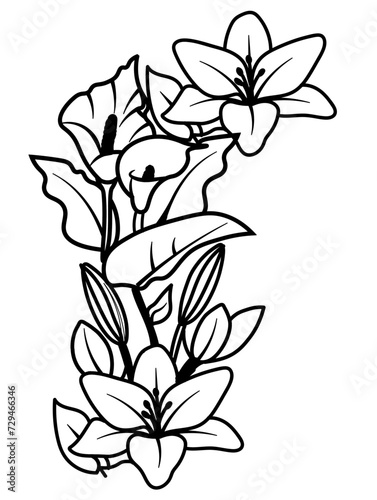 flowers outline
