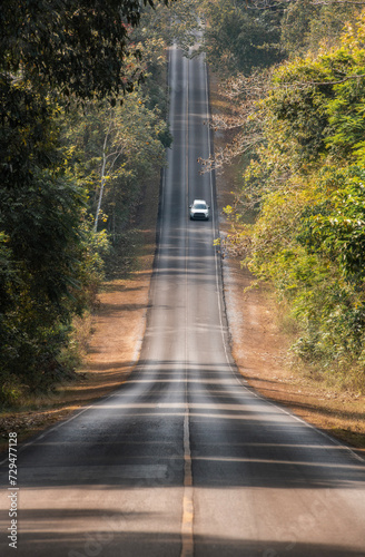 Cars driving on the road at Khao Yai National Park Nakhon Ratchasima Province, Thailand.