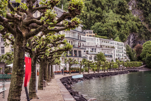 Trees and shoreline with row of houses along a lake front. photo