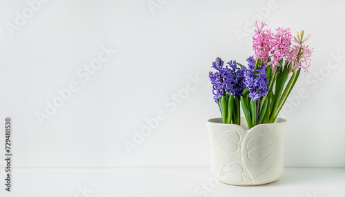 Blooming hyacinth in a white flowerpot, springtime look and home gardening concept with copy space © t.sableaux
