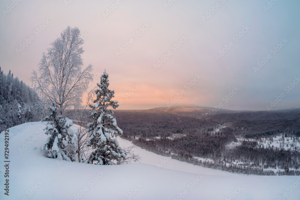 Amazing winter snow-covered mountain trees on the cliff,