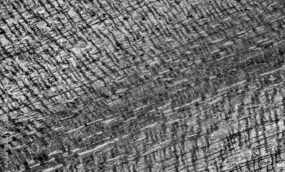 Fototapeta premium Monochromatic wood texture background damaged pattern grain