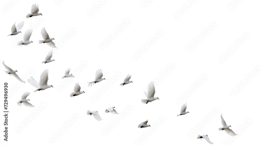 A group of doves flying in the sky, in png transparent - obrazy, fototapety, plakaty 