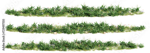 ground covers, meadows, 3d rendering on transparent background