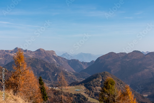Hiking trail along golden alpine meadows and forest in autumn. Scenic view of majestic mountains of Carnic Alps in Sauris di Sopra  Friuli Venezia Giulia  Italy. Tranquil atmosphere in Italian Alps