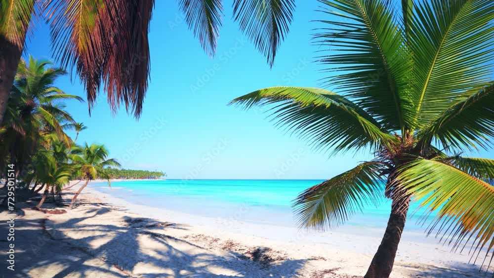 The ideal landscape backdrop for a relaxing Maldives holiday. Sea tropical beach with white sand. Bright palm trees and turquoise ocean against the blue sky on a sunny summer day.