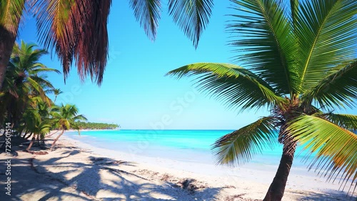 The ideal landscape backdrop for a relaxing Maldives holiday. Sea tropical beach with white sand. Bright palm trees and turquoise ocean against the blue sky on a sunny summer day. photo