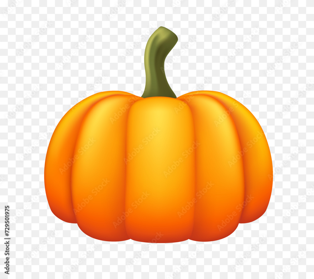 Pumpkin. Vector realistic illustration isolated on transparent background. Pumpkin. Vector realistic illustration isolated on transparent background.