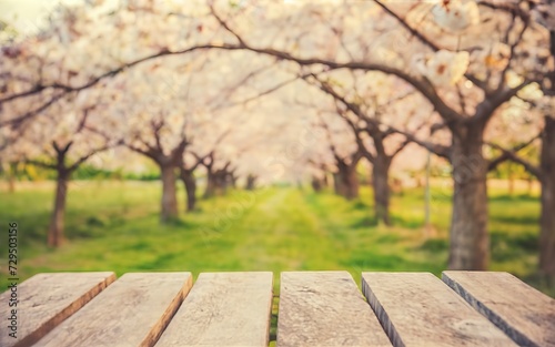 wooden rustic table in front of spring cherry blossoms tree. vintage filtered image