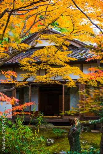 Autumn foliage in Kyoto.