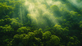 An awe-inspiring aerial view of a dense tropical rainforest with sunlight filtering through the canopy.