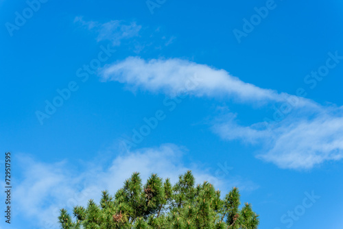 Bright Blue Sky with White Cotton Clouds