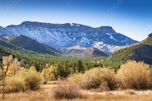 Snow-covered winter landscape of Clayton Mountain and Shoshone National Forest in the wilderness of northwest Wyoming Yellowstone ecosystem, USA.