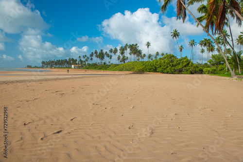 Brazilian Northeast Coast - Riacho Beach, Sao Miguel dos Milagres, Alagoas photo