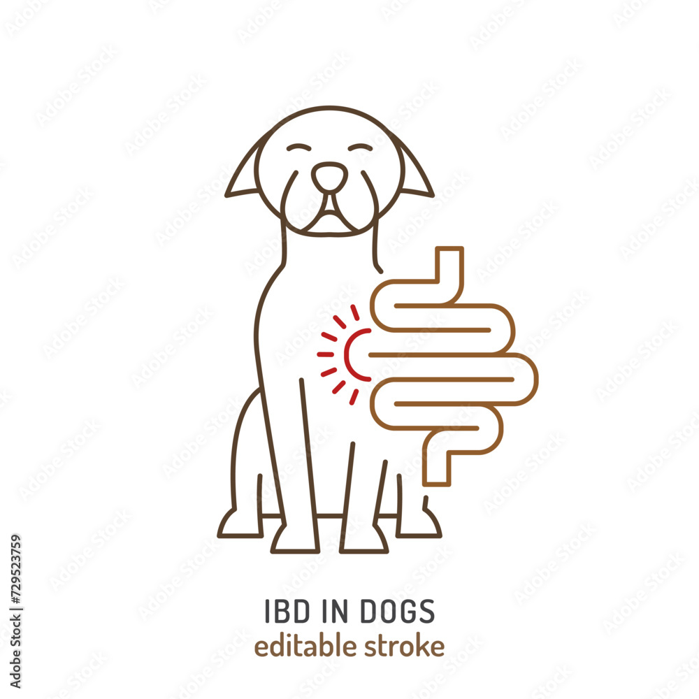 IBD in dogs. Linear icon, pictogram, symbol. IBD in dogs. Linear icon, pictogram, symbol.