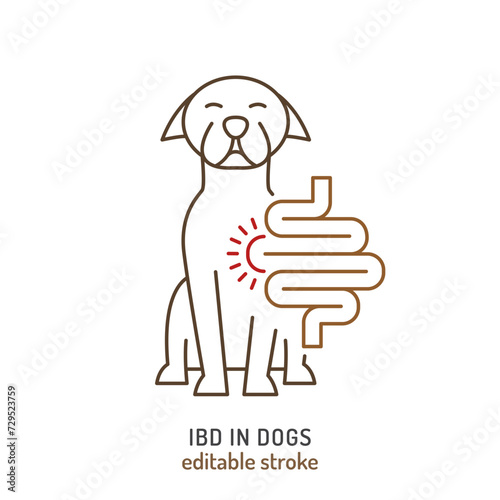 IBD in dogs. Linear icon, pictogram, symbol.