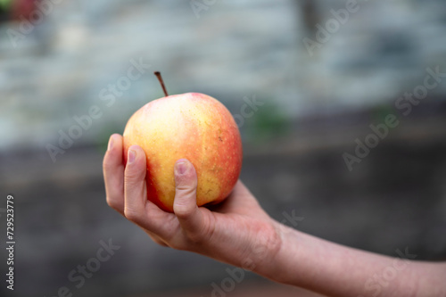 Hand of aa child holding an apple
