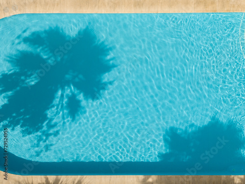 Swimming pool with palm tree shadow on the water. Aerial drone Top view