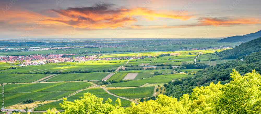 Blick über die Deutsche Weinstrasse bei Neustadt an der Weinstrasse 