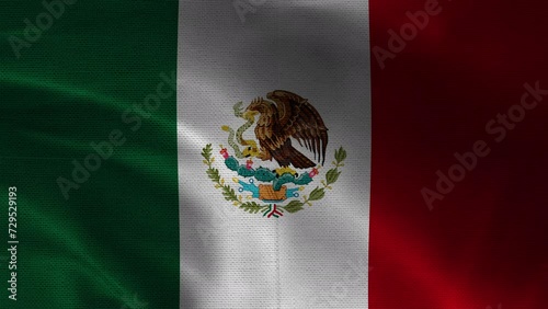 Mexico Detailed 4k Waving Flag Cloth in 3D Motion	