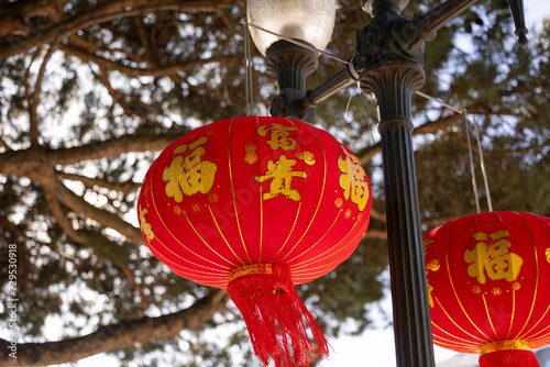 Chinese lanterns in the park, chinese new year decoration.