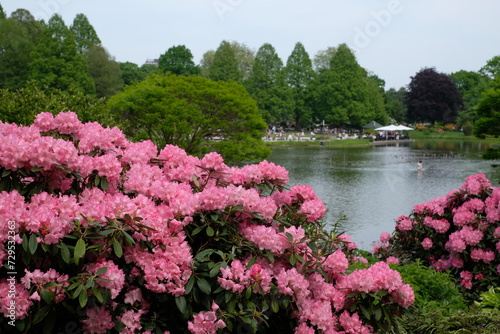 Planten und Blumen park in Hamburg, Germany, beautiful landscape, lake and flowers, Hamburg city, nature beauty