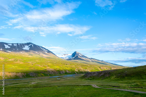 Icelandic summer landscape with green meadow, mountains and blue sky
