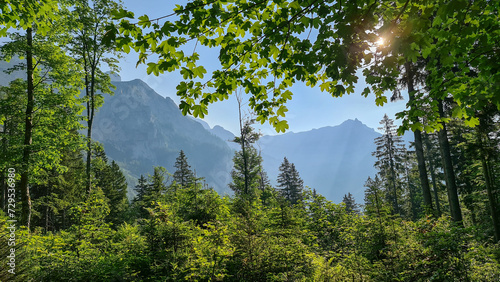 Hiking trail in dense alpine forest with scenic view of majestic mountains of Hochschwab Region, Upper Styria, Austria. Looking through tree branches on remote Austrian Alps, Europe. Hike wilderness photo