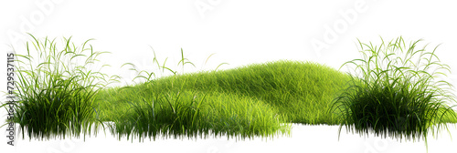 Cut out green grass field transparent backgrounds 3d rendering png file