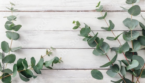 eucalyptus branches and leaves on wooden rustic white background minimal background eucalyptus on white board flat lay top view copy space