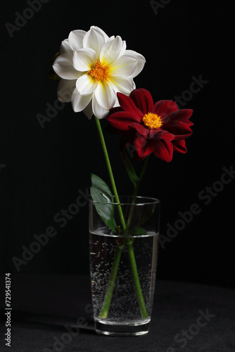 Two flowers in a vase on dark moody black background, beautiful romantic composition for celebtarion design and concept, vertical © teatian