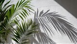tropical palm leaves shadow on a white wall