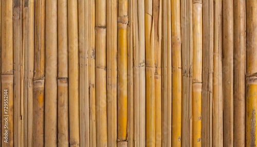 bamboo texture background