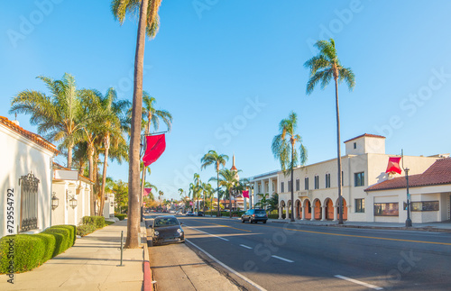 Palm trees on the edge of the street in Santa Barbara