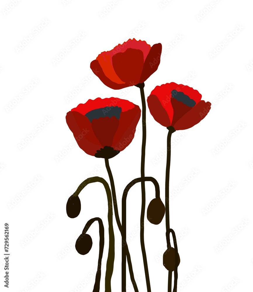 Red poppies on a white background.