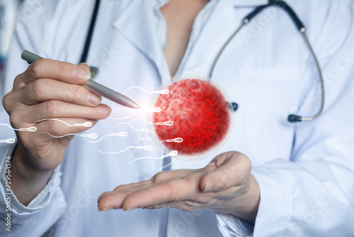 Doctor shows the process of fertilization of an egg.