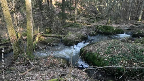 Wild stream flowing through the forest