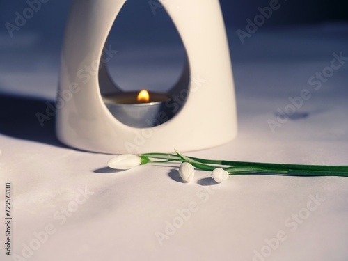 Zen arometherapy oil burer with snowdrop flowers
