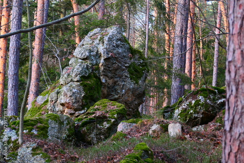 Steinblock im Wald photo