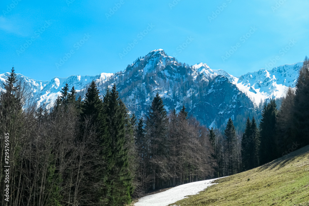 Scenic view of snow capped mountain peaks in Bärental, Karwanks, Carinthia, Austria. Remote alpine landscape in springtime in idyllic Austrian Alps, Europe. Tranquility on alpine meadows and forest