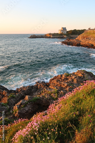 Paysage de mer et de côte sauvage au soleil couchant, avec des rochers et des fleurs roses de printemps, à Rothéneuf, à Saint-Malo en Bretagne, avec une maison isolée au loin (France)