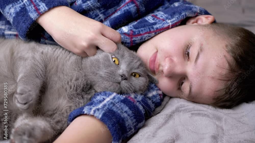 Sleepy Child Hugging, Stroking with a Fluffy Cat, Lying on a Bed in a Bedroom. Close up. Tired happy caring boy in pajamas is resting with his beloved pet. Love, care, affection, friendship with pets. Sleepy Child Hugging, Stroking with a Fluffy Cat, Lying on a Bed in a Bedroom. Close up. Tired happy caring boy in pajamas is resting with his beloved pet. Love, care, affection, friendship with pets.