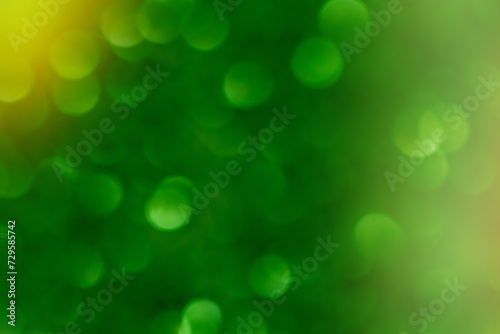 Green abstract bokeh, shiny lights, abstract holiday background, nature frame, Christmas decoration